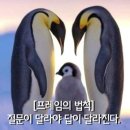 ★ 공자와 제자 (프레임의 법칙) ★ 이미지