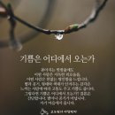 오늘도기쁨18