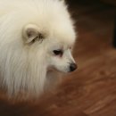 카페허브 - 성남시 분당구 판교역로 109 | 카페허브
