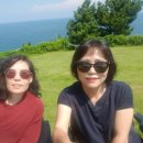 함께걸음마을치과의원 이미지