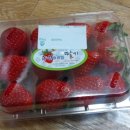 둥이마트 이미지