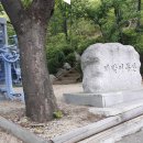 낭자김 이미지