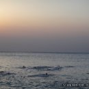 기타조형물 7 이미지