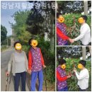 강남재활요양원 1동 | 월암동요양원 강남재활요양원1동 지역대표요양원