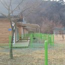 띵독 이미지