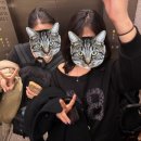 해림가든 | 대만다녀왓어요