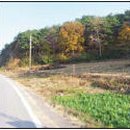 고남농장 이미지