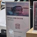 쉐보레 안성전시장 앞 | [전기차/BYD] BYD스타필드 안성전시장 방문 후기/아토3플러스&amp;돌핀 견적 비교
