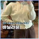 바닐라윤 라방 가성비 쇼핑몰 봄신상 BEST 5 착용샷 후기
