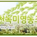 녹미