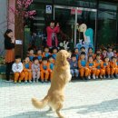 마루 유치원 이미지