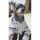 개편한집 이미지