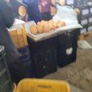 후선 농장 이미지