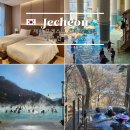 포레스트호텔 | 제천 리솜 포레스트 스파 및 S30 호텔 가격 후기