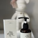 닥터파파동물병원 | 피부 예민한 반려동물 필수템, 닥터라라 저자극 강아지샴푸 발사탕있는 강아지 사용후기