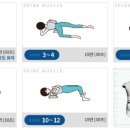 척추근육강화기 이미지