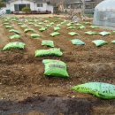 청옥산분말 이미지