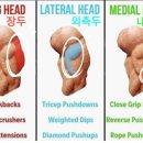 안녕피티 이미지