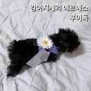 루이독앤디자인