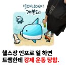 인포빌딩 | PT] 트레이너 쌤한테 강제 운동 당한 헬린이 인포쌤이 직접 쓰는 수미트쌤 PT후기!/헬스초보 탈출 가능?