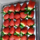 김은희농장 이미지