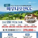 마우나커피