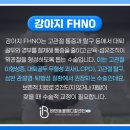 운남동물병원 이미지