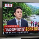 7월28일 화요일 이미지