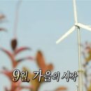 미림커피 | 삼각지 액자갈이 미림화방 주말 후기ㅣ주차, 가격, 시간ㅣ피아스튜디오 웨딩 액자 수령