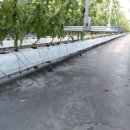 주열농장 이미지