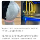 평산이벤트 이미지