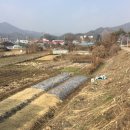 유구읍사무소 이미지