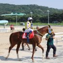 런 헤럴드경제