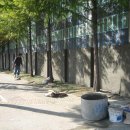 인천서흥초등학교 이미지