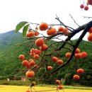 양양 해오름 펜션 이미지