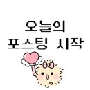 엔터카워시 이미지