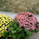 수경민박 이미지