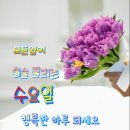 공기총사격/사냥/동호회:2025년 03월 12일 수요일 출석부 입니다! 이미지