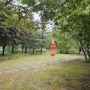 호수의 수호자_B 이미지