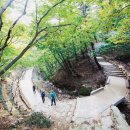 내포물산