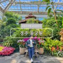 호텔피어48(pier48) | 경주 동궁원 식물원 입장료 및 방문 솔직 후기