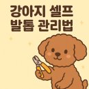 멍멍나래애견미용 - 남양주시 장현로 115 | 멍멍나래애견미용