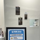 한일애견미용실 이미지