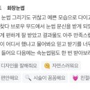 브로우무드 이미지