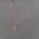 용산-현장-1530 이미지