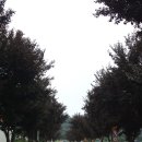 창리서로 이미지