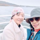 2025년 11월 27일 상무초밥~ 우중 트레킹~ 한강버스 탑승 (페페님 진행) 이미지