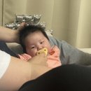 수찬목장 네이버블로그