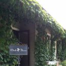 클럽 플로라 이미지