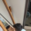 곱닥한가 이미지